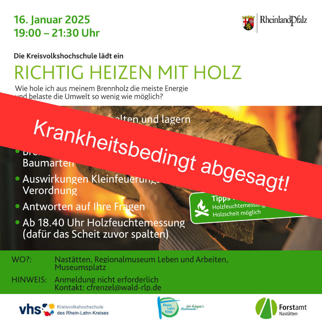 Heizen mit Holz, Nastätten - 1