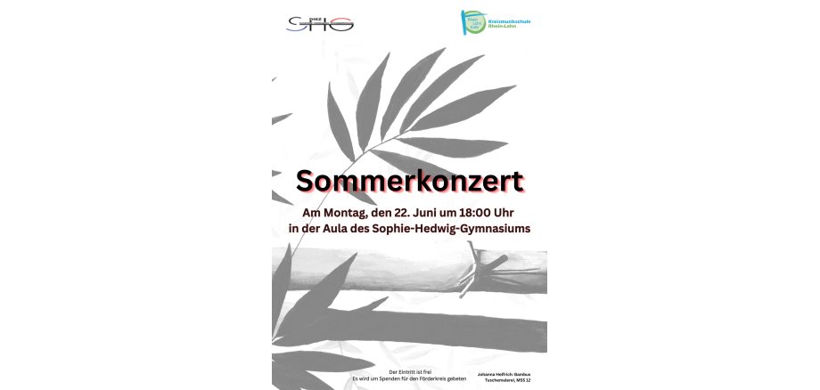 Sommerkonzert Diez